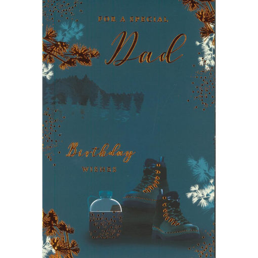Picture of FOR A SPECIAL DAD BIRTHDAY WISHES CARD